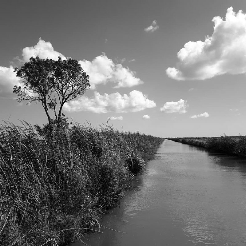 itinerance-poetique-marais